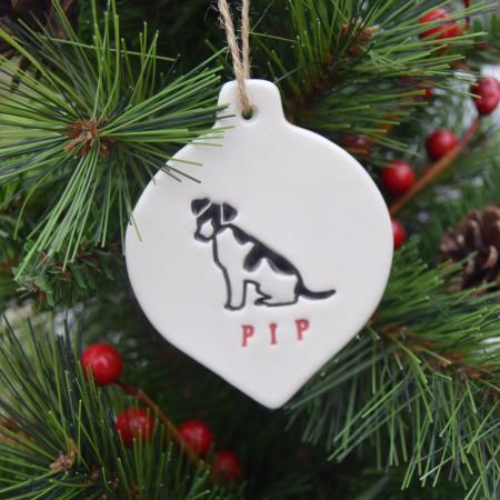 Pip